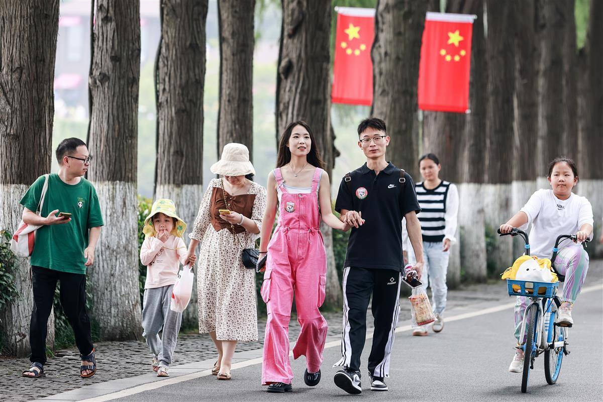 专业电子游艺
